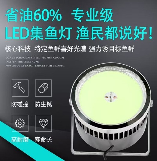 阳江集鱼灯